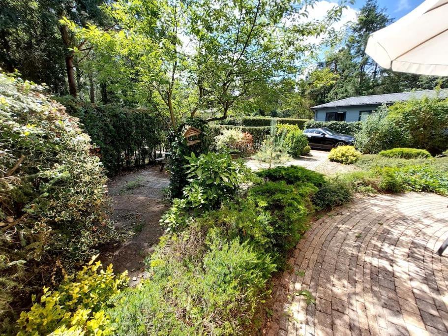 Heerlijk Chalet In Prachtige Natuur. Doornspijk Ngoại thất bức ảnh